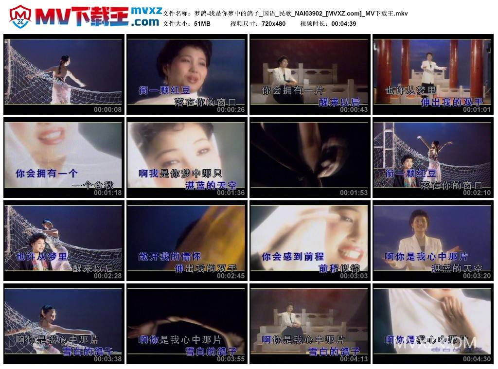 梦鸽-我是你梦中的鸽子_国语_民歌_NAI03902